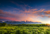 Picture of Yellowstone