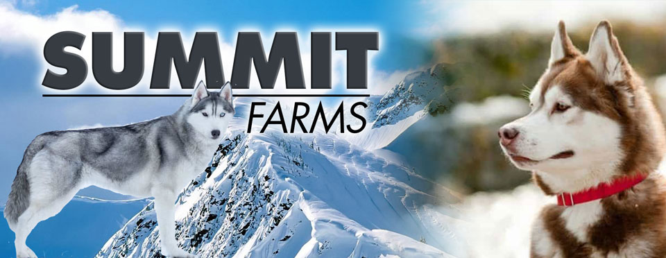 header img for summit farms